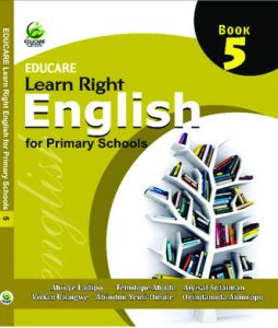 english primary 5